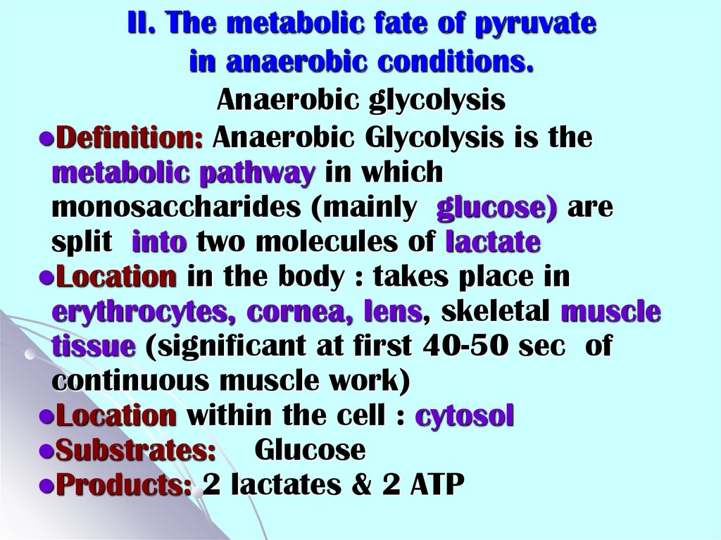 II. The metabolic fate of pyruvate in anaerobic conditions. Anaerobic glycolysis