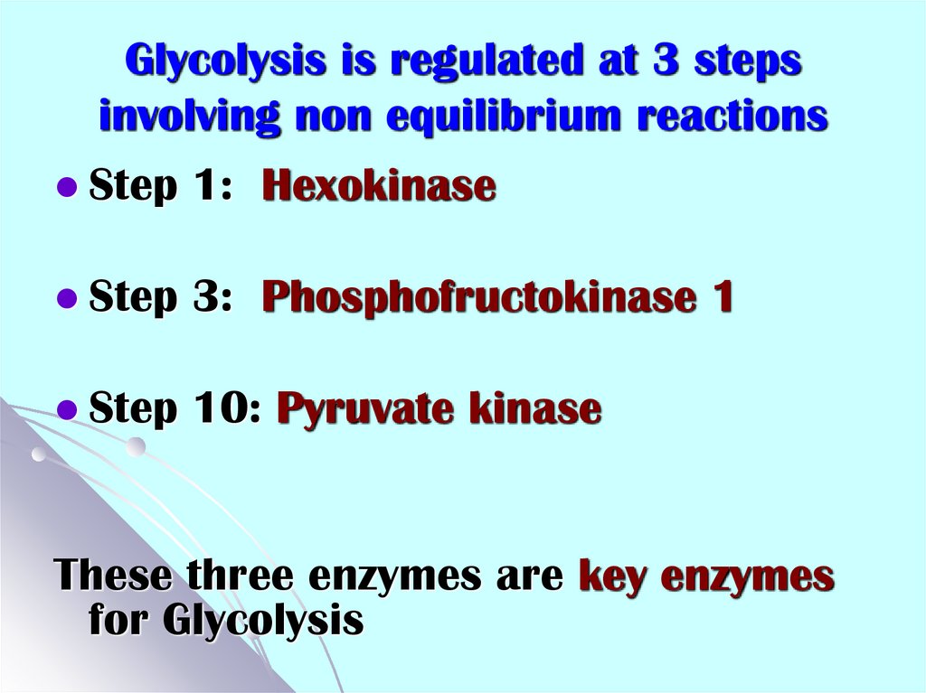 Glycolysis is regulated at 3 steps involving non equilibrium reactions