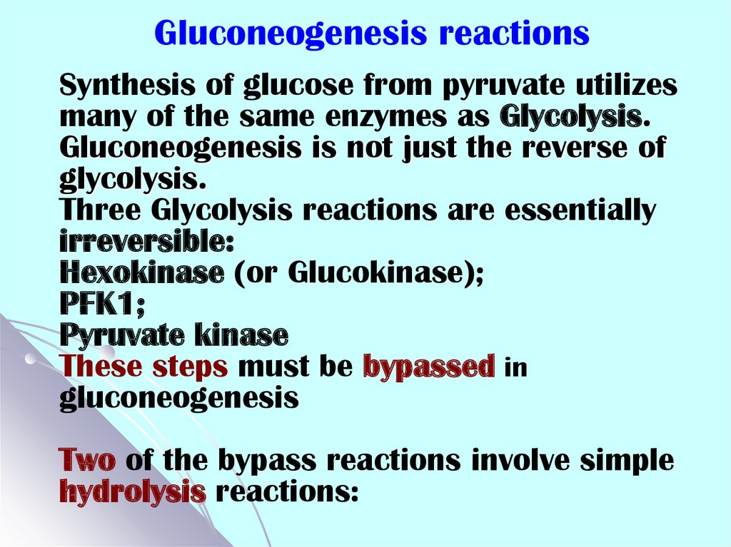 Gluconeogenesis reactions