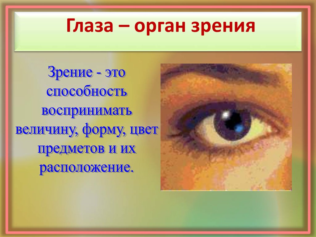 Органы чувств глаза 9 класс. Глаза орган зрения. Органы чувств глаза. Берегите органы зрения. Глаз как орган чувств.