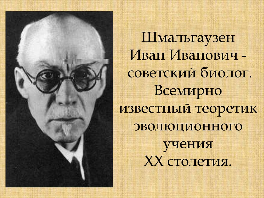 Шмальгаузен Иван Иванович - советский биолог. Всемирно известный теоретик эволюционного учения XX столетия.