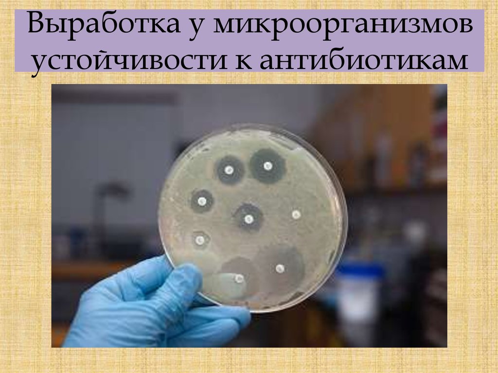 Выработка у микроорганизмов устойчивости к антибиотикам