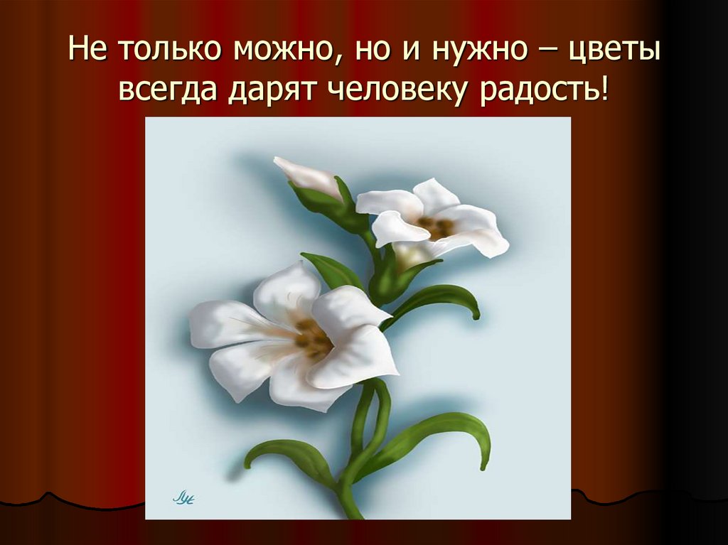 Мне нужны цветы. Цветы для презентации. Нам нужны цветы. Цветов не нужно. Для чего нужны цветы.