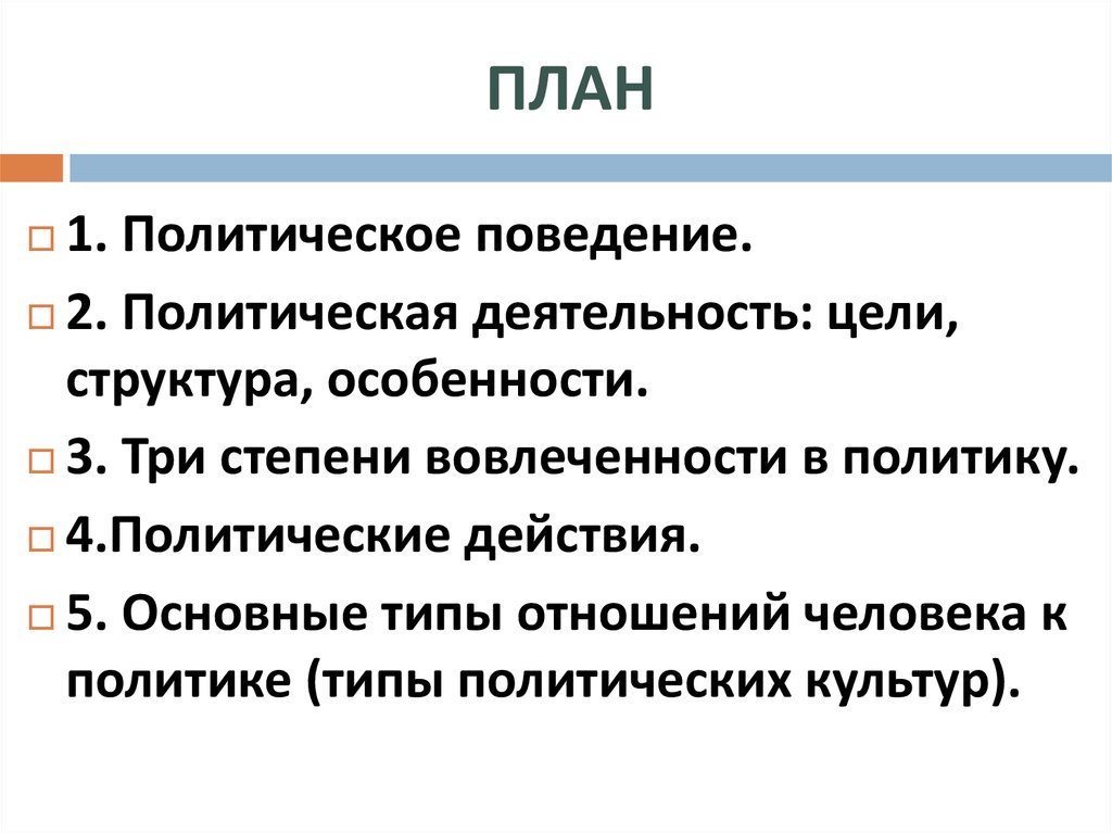 План по теме политическое поведение