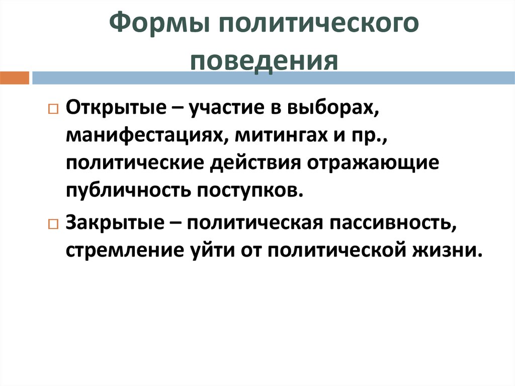 План по теме политическое поведение