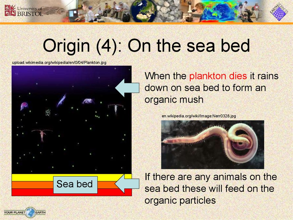 Origin (4): On the sea bed