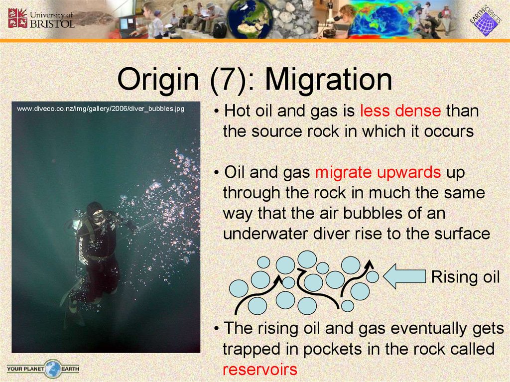 Origin (7): Migration