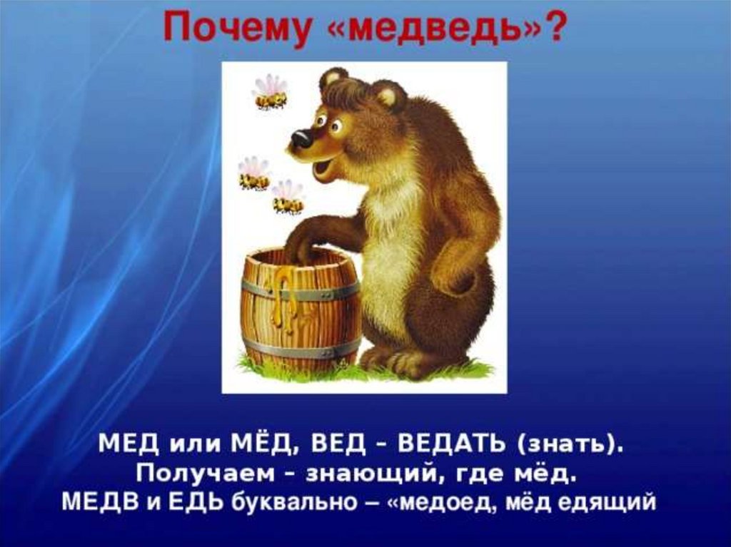 Почему у медведя нет мамы. Медведь с медом. Медведь ест мед. Медвежонок с медом. Медведь медом ведает.
