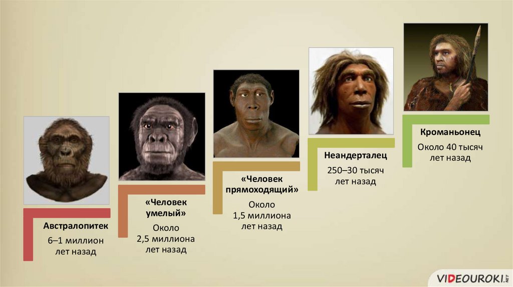 Древнейшие люди - презентация онлайн