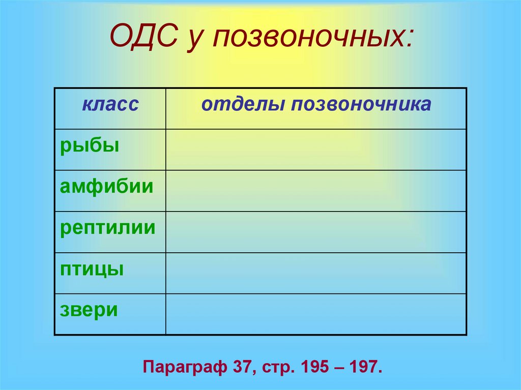 Позвоночные таблица