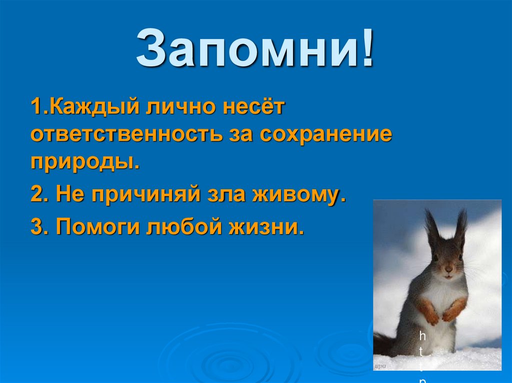 Проект на тему охрана природы в нашем крае 4 класс по окружающему миру