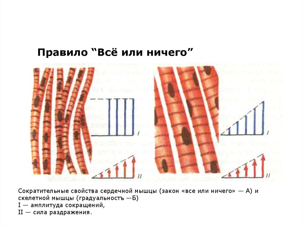 Все или ничего схема