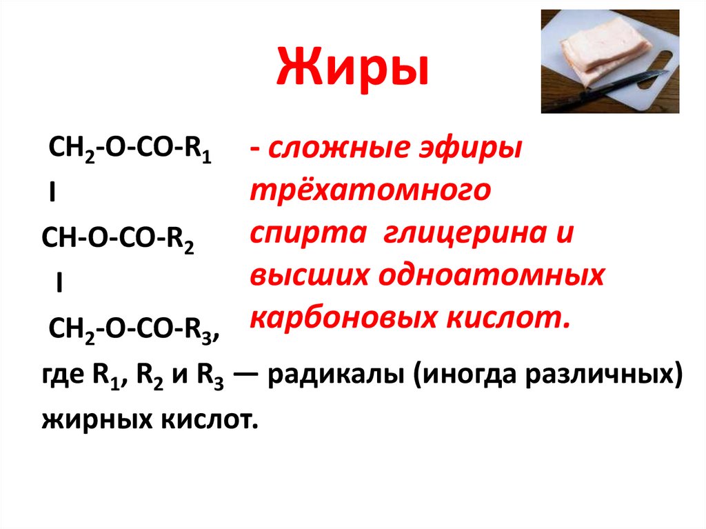 Жиры в химии презентация