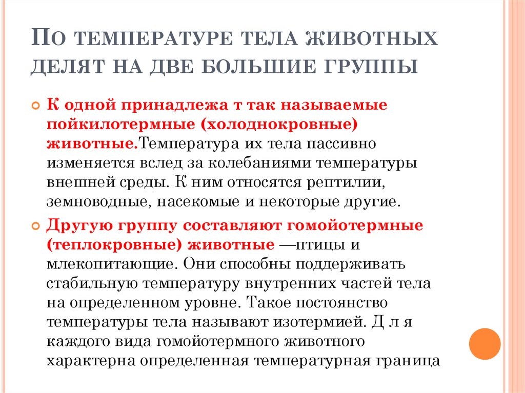 Животные имеющие постоянную температуру тела. Температура тела животных. Колебания температуры тела у животных. Температура тела коровы. Определение постоянная температура тела животных.