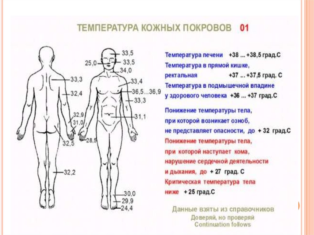 Какая должна быть температура тела. Температура различных участков кожных покровов и внутренних органов.. У температура норма человека температура тела. Температурная норма человека тела. Диапазон нормальной температуры у человека.