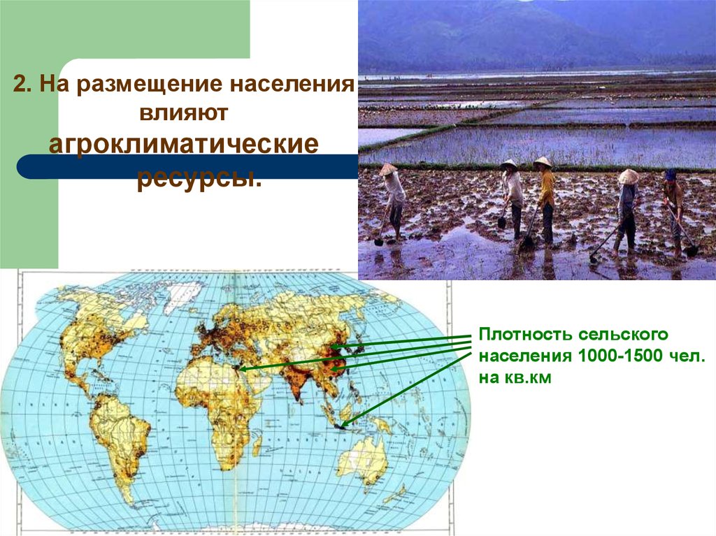 Процесс роста городов и распространения городского образа