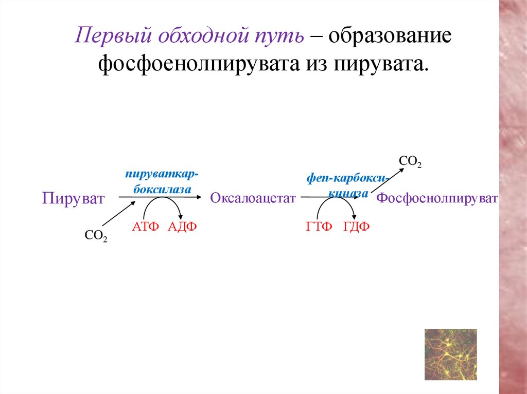 3 реакции гликолиза термодинамически необратимы.