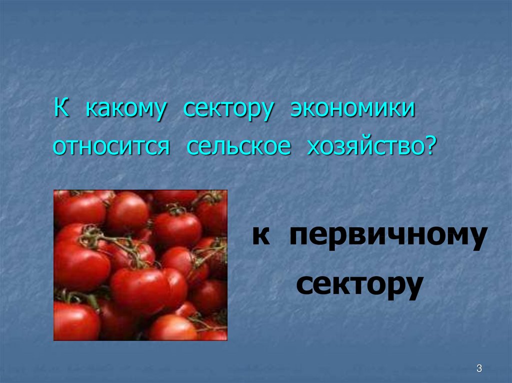 Что относится к сельскому. К какому сектору экономики относится сельское хозяйство. Почему сельское хозяйство относят к первичному сектору хозяйства. Какие 5 слов относятся к земледелию. Какая еда относится к растениеводству.