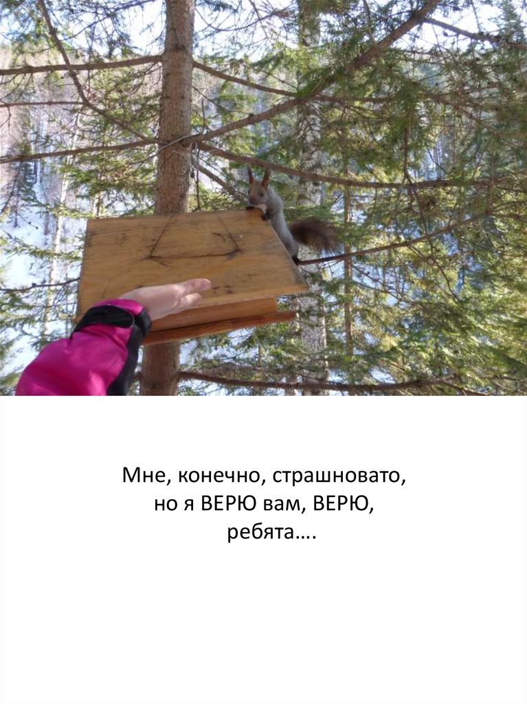 Мне, конечно, страшновато, но я ВЕРЮ вам, ВЕРЮ, ребята….