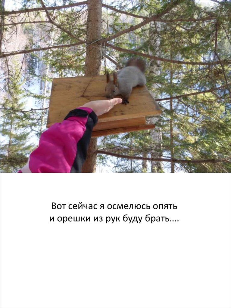 Вот сейчас я осмелюсь опять и орешки из рук буду брать….