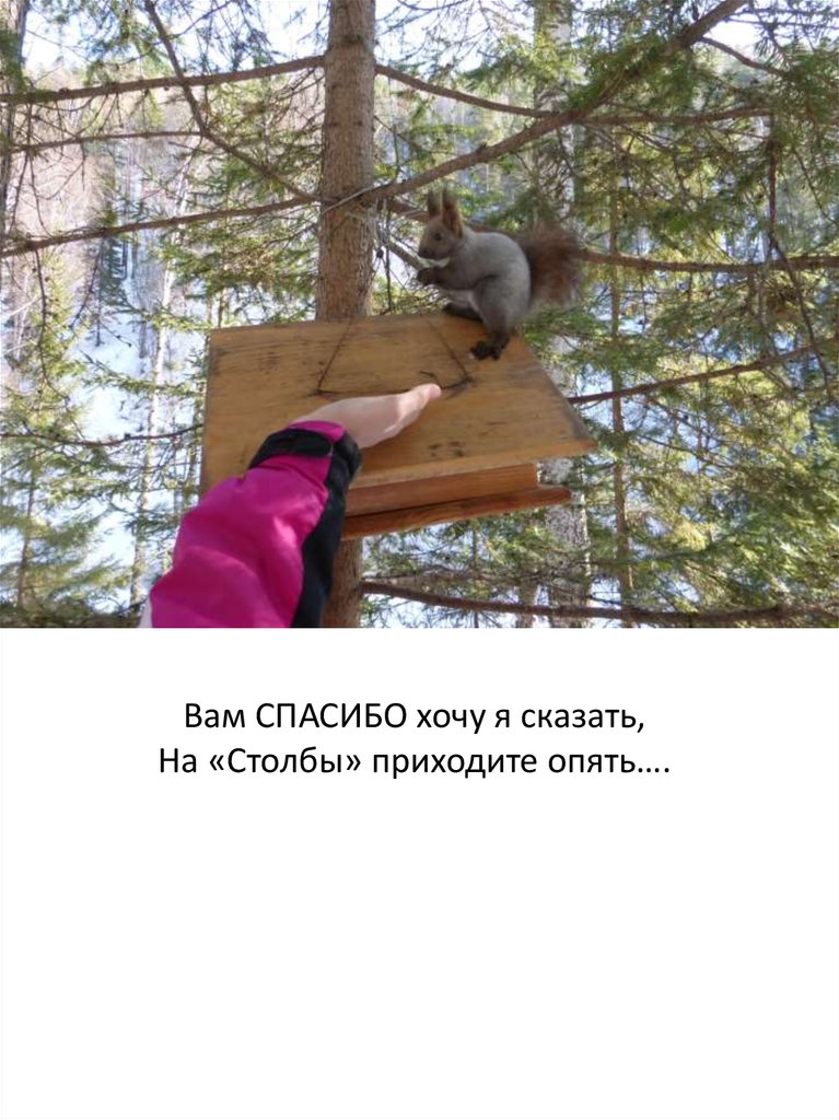 Вам СПАСИБО хочу я сказать, На «Столбы» приходите опять….