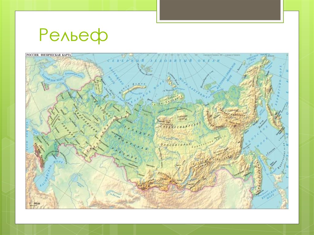 как называется заповедная территория с темнохвойной тайгой