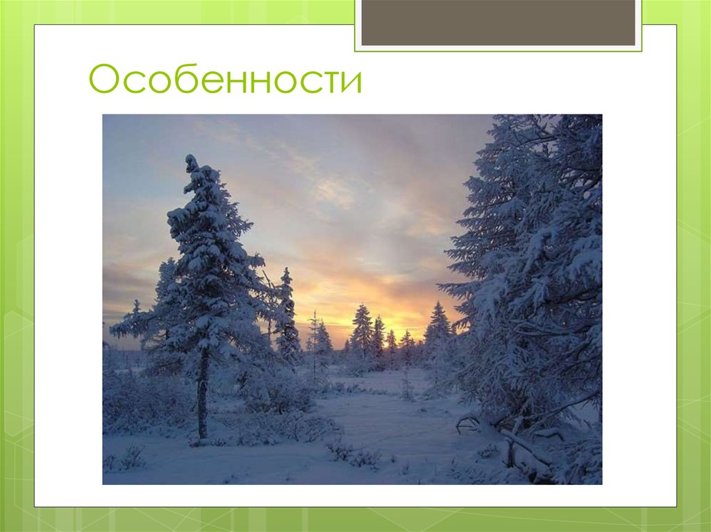 Особенности
