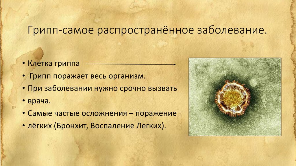 Болезни органов дыхания презентация 8 класс. Что поражает грипп.