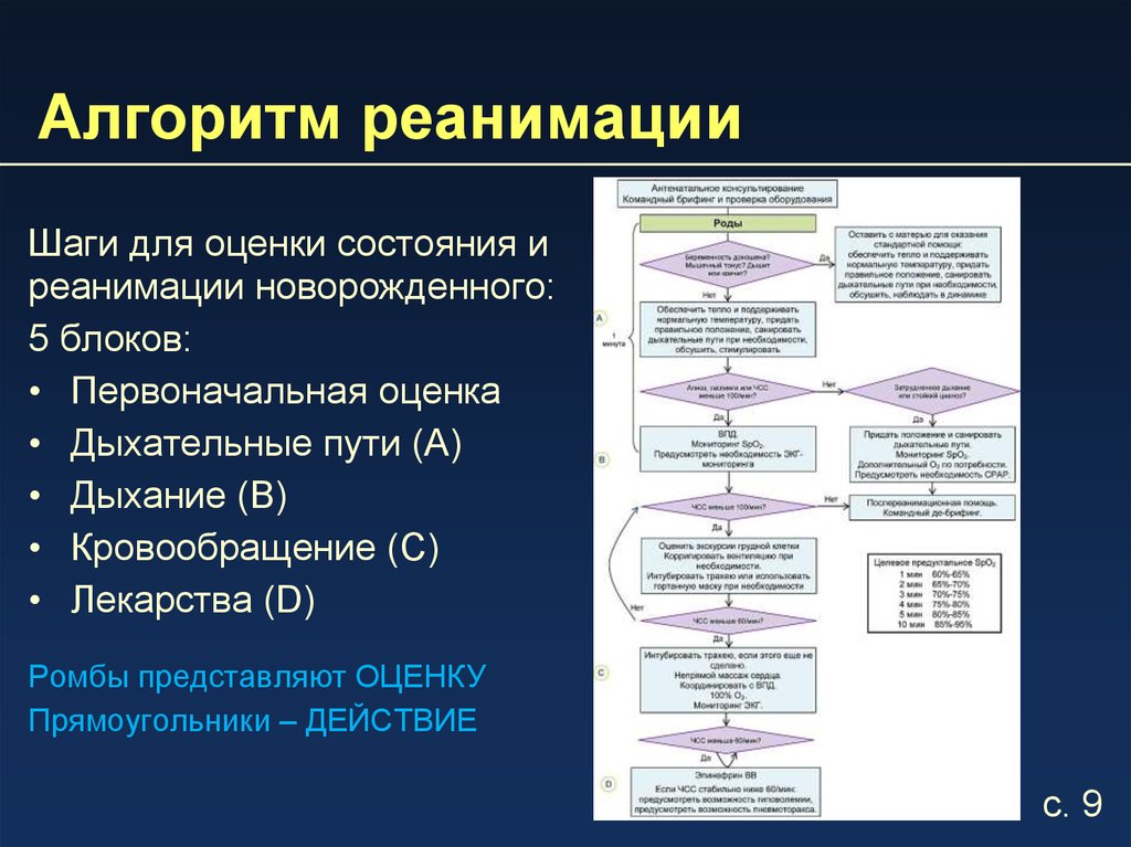 Порядок по реаниматологии