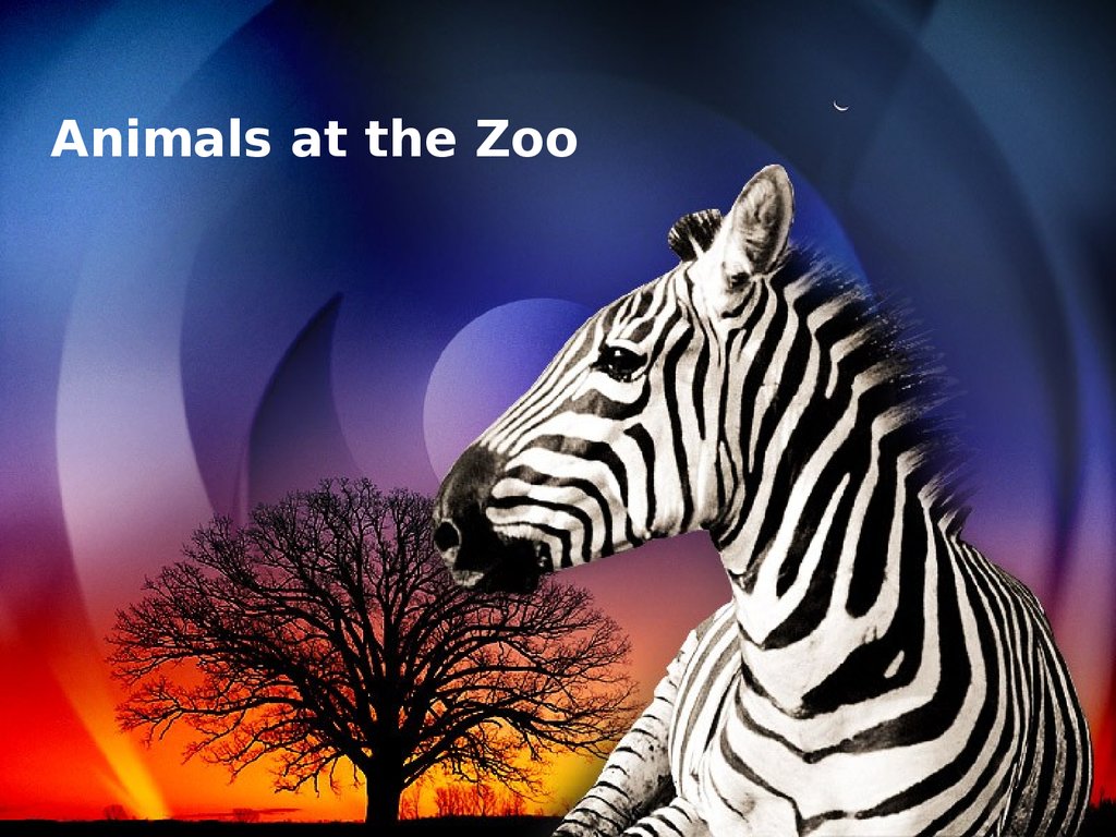presentation about zoo