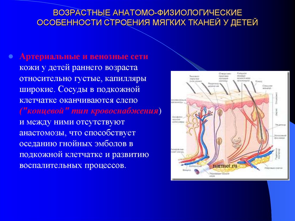 Афо кожи у детей презентация