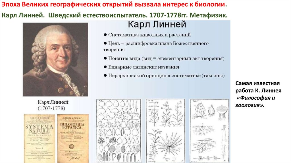 Линней классификация животных