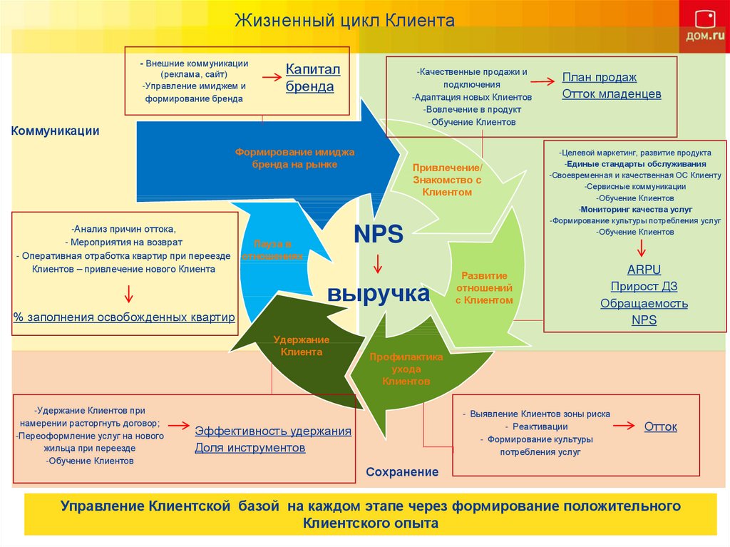 Жизненный цикл клиента картинки