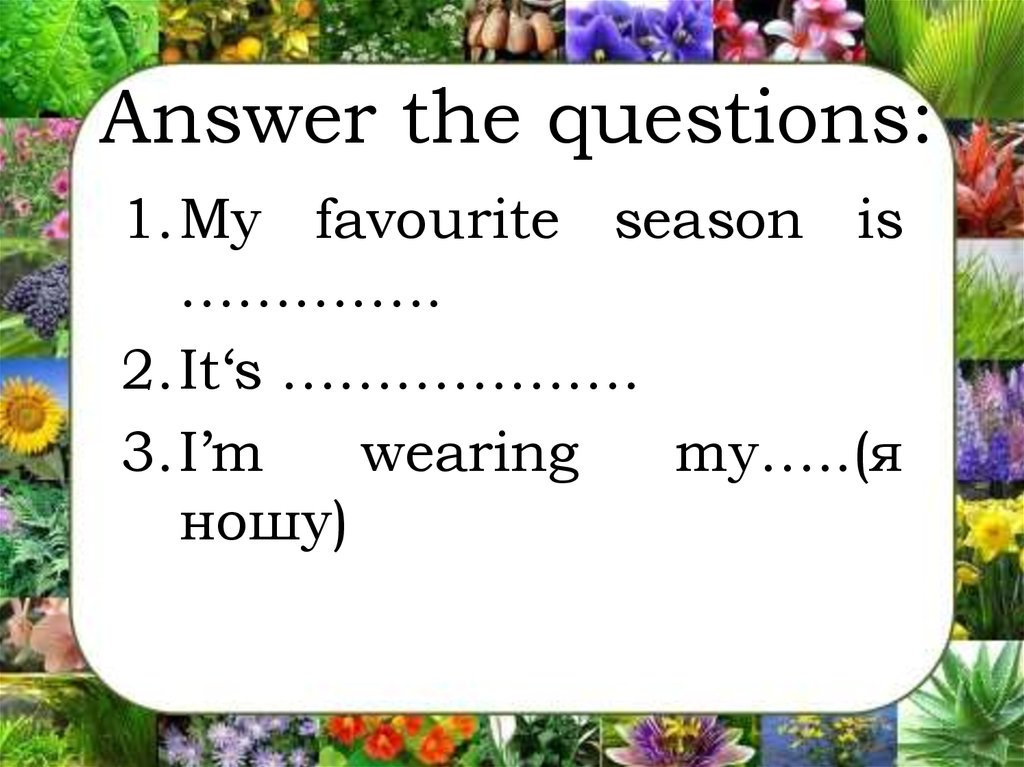 Answer the questions what your favourite