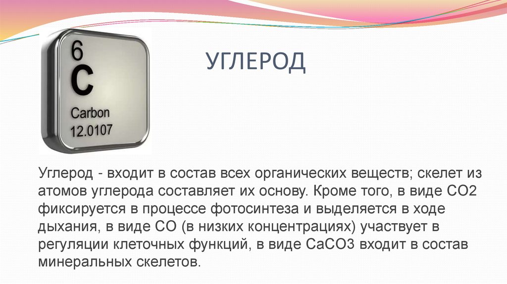 Составляющая углерод. Углерод в клетке. Углерод слово. Углерод входит в состав всех органических веществ правда или.