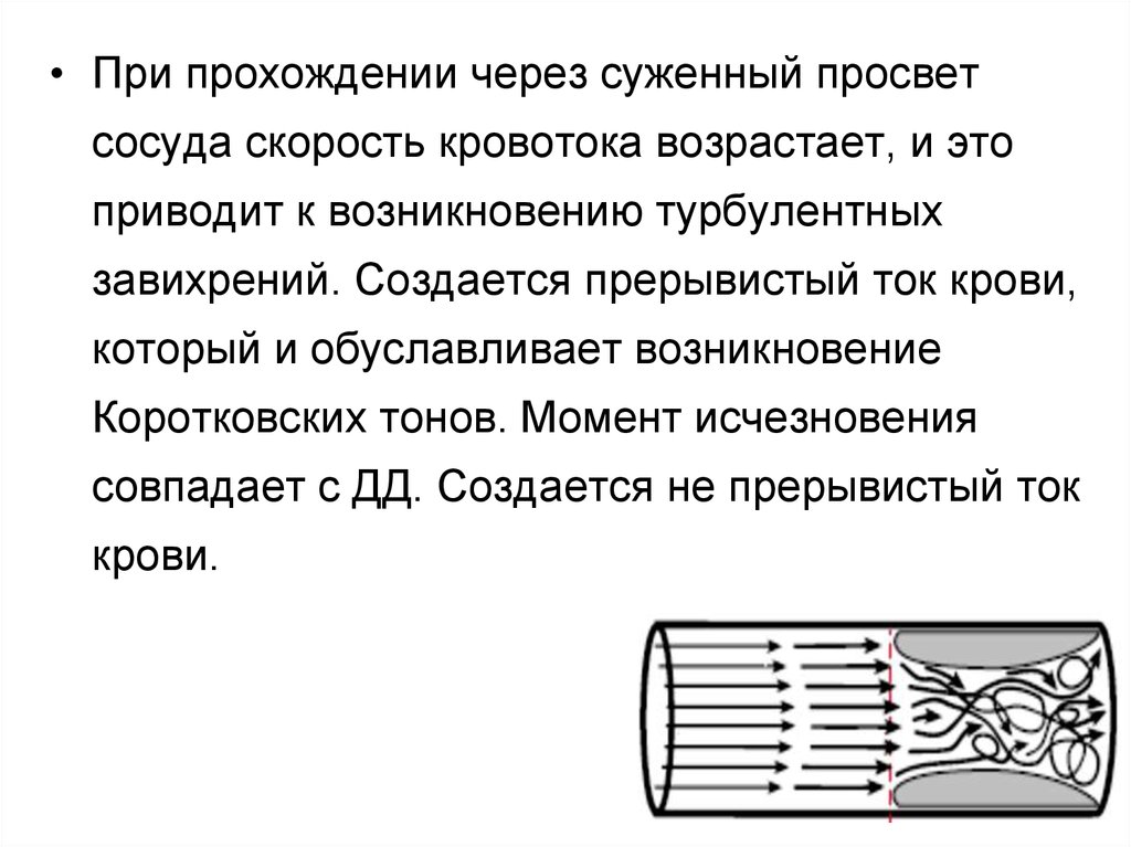 Скорость сосудов. Физиология сосудов. Изменение просвета сосудов. Просвет сосудов физиология.