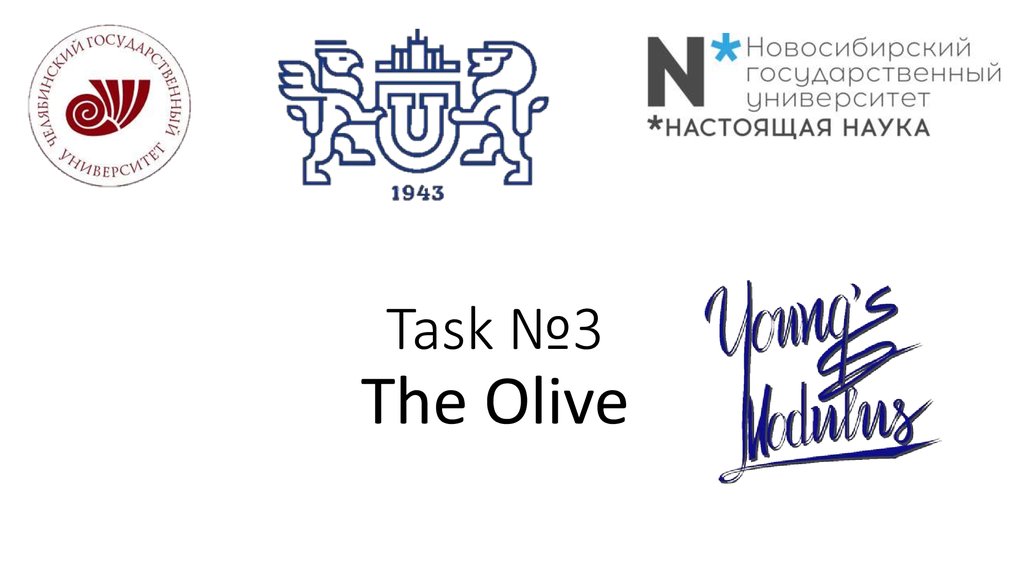 Task №3 The Olive