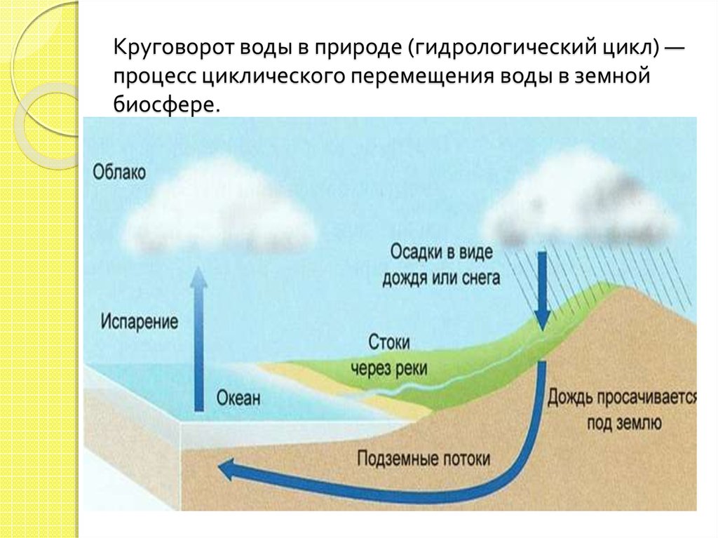 Какова вода в атмосфере. Биосфера круговорот воды в биосфере. Полная схема круговорота воды в биосфере. Схема круговорота воды большой и малый круг. Процесс круговорота воды в природе.