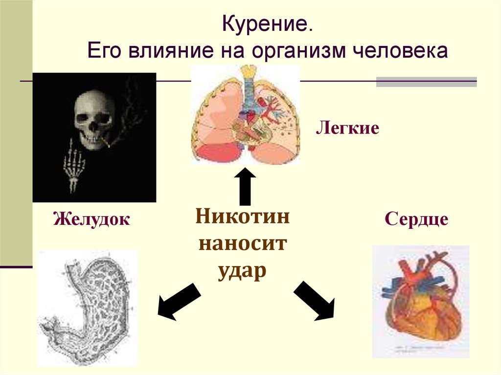 8 класс вред