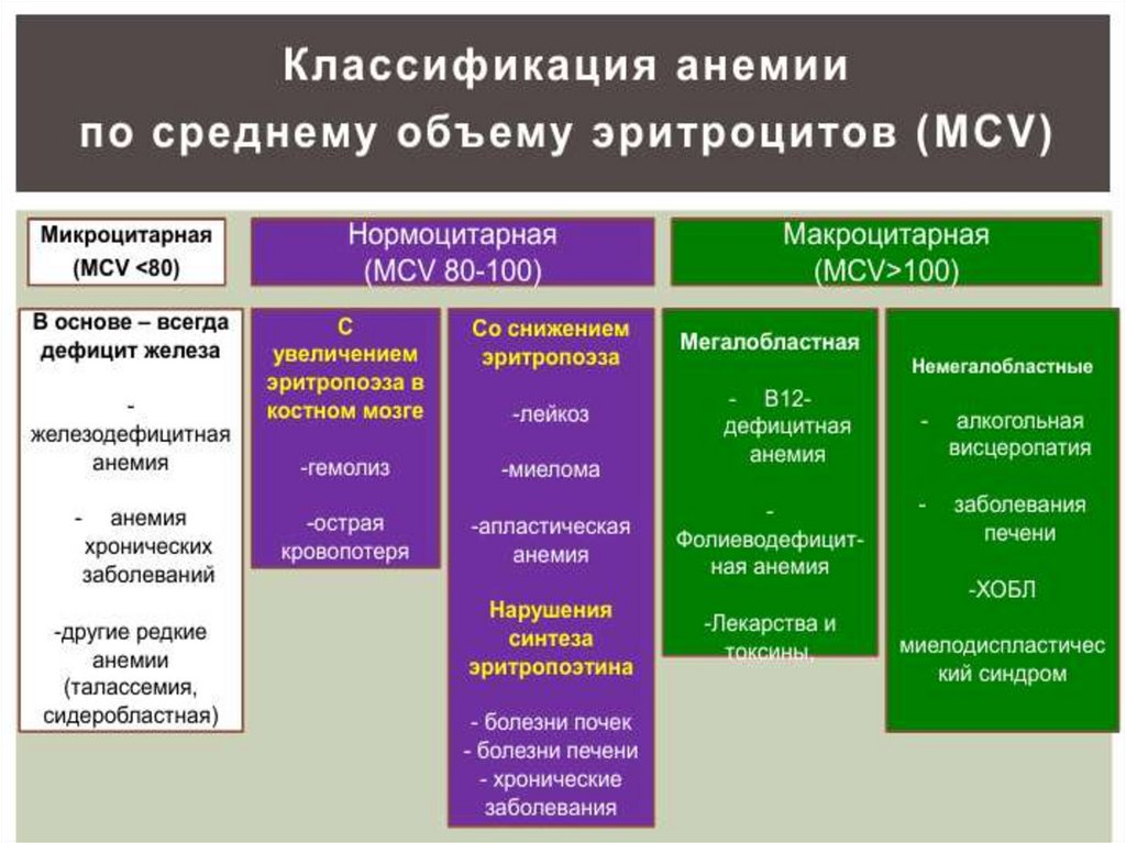 Редкое заболевание анемия. Анемический синдром классификация. Классификация анемий. Классификация заболеваний анемии. Классификация анемий по MCV.