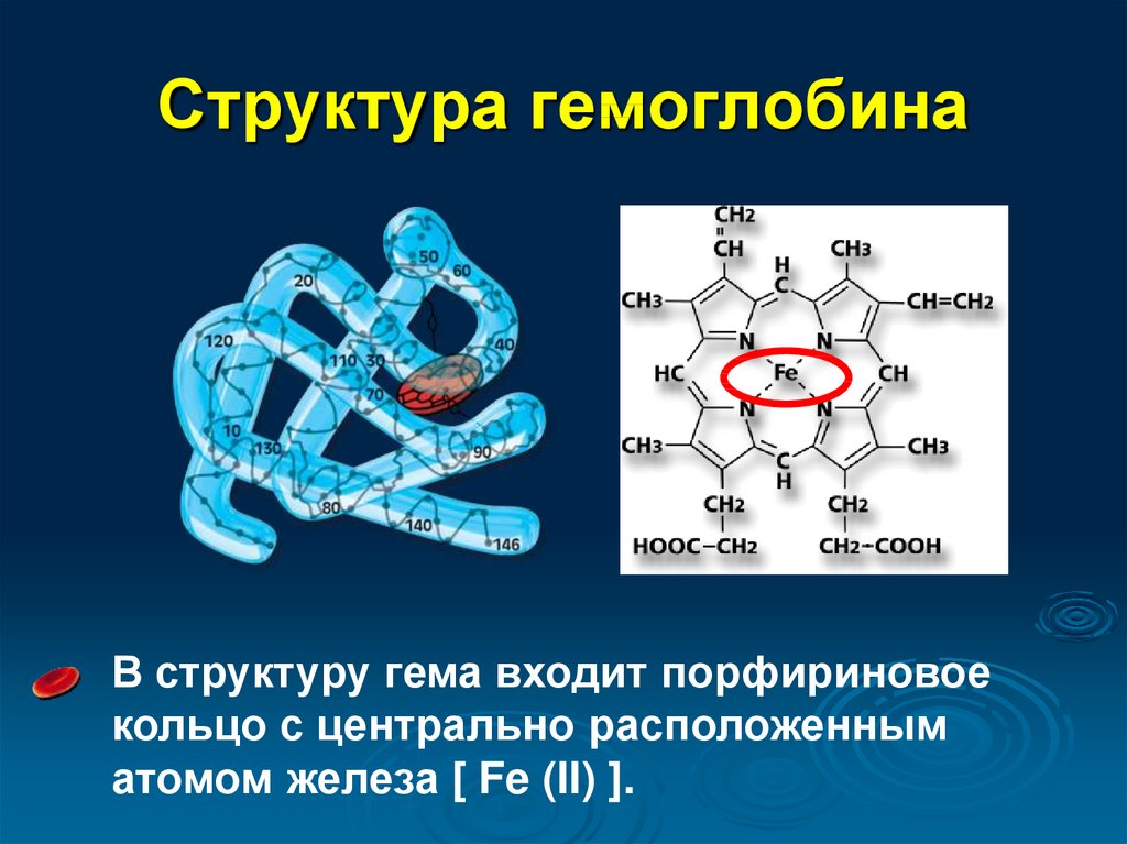 Гемоглобин строение виды. Структура белковой молекулы гемоглобина. Структура молекулы гемоглобина биохимия. Химическое строение гемоглобина и миоглобина. Химическая структура гемоглобина.