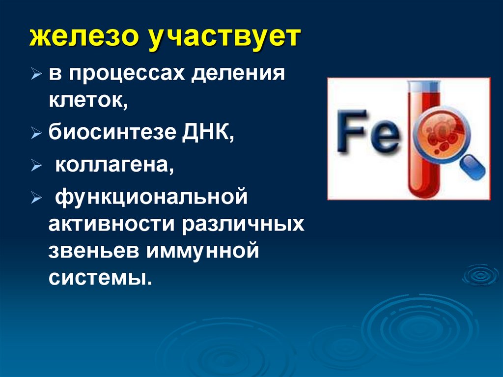 Железо участвует в синтезе. Железо участвует в. Процессы в которых участвует железо. В каких процессах участвует железо. Железо в организме картинки.