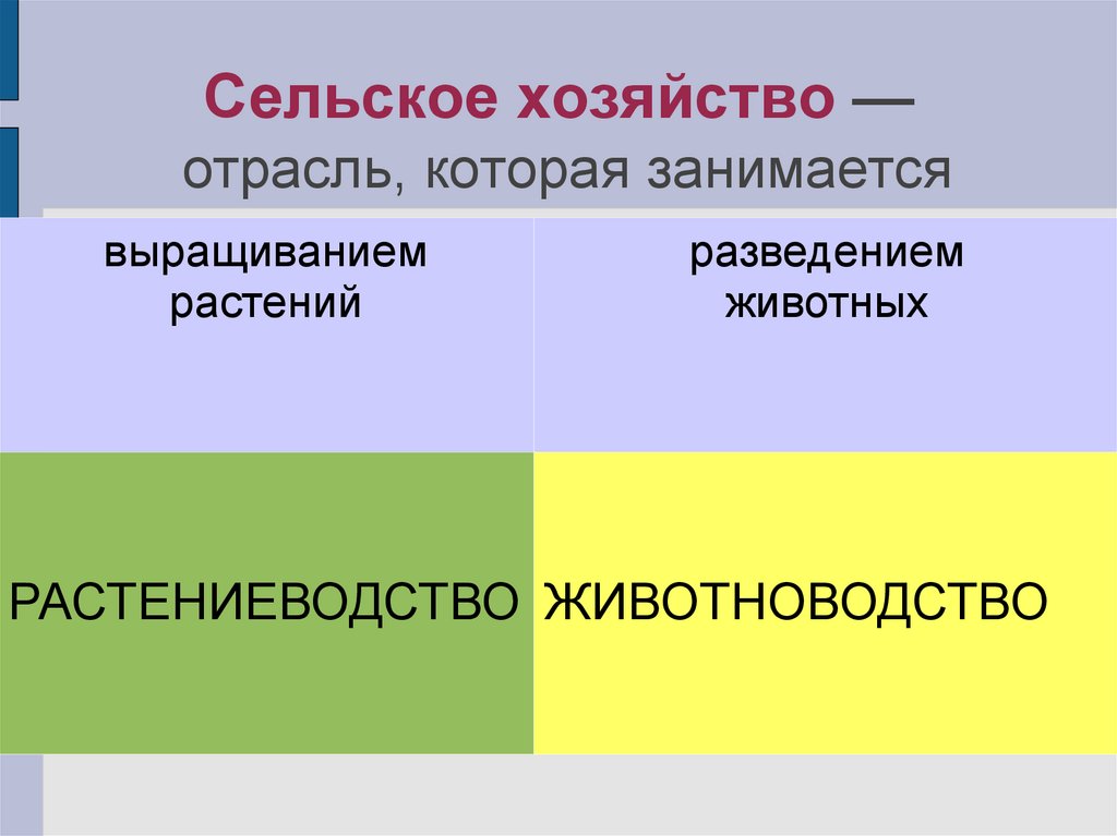 Отрасль хозяйства это. Отрасли хозяйства. Отрасль хозяйства это в географии. Отрасли хозяйства учитель. Новодвинск отрасли хозяйства.