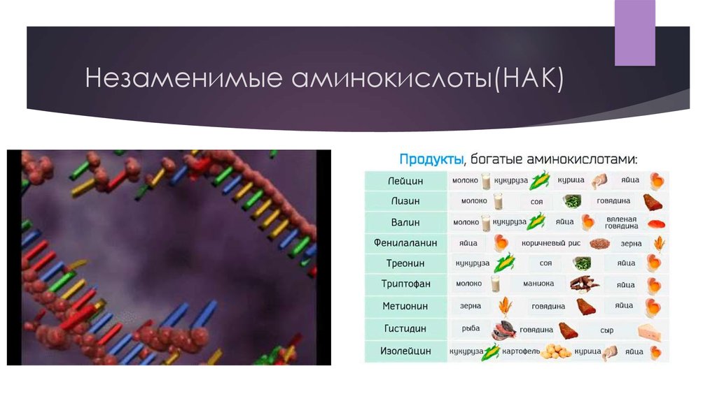 Аминокислоты белки презентация