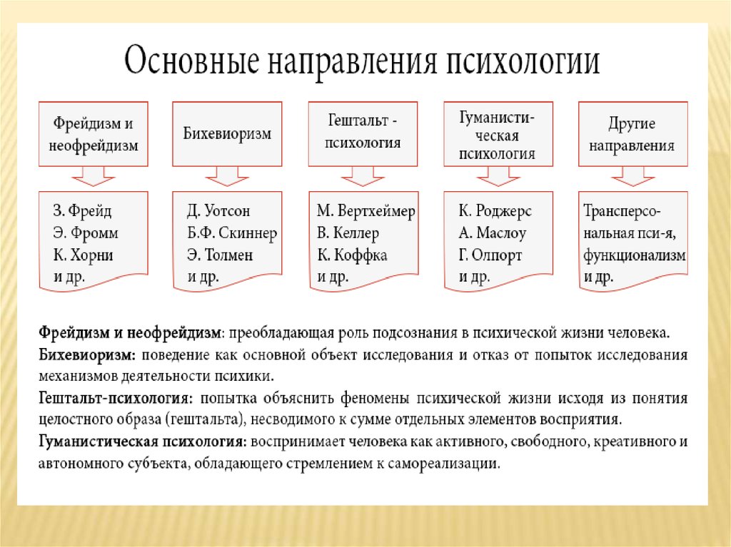 Направления по предметам