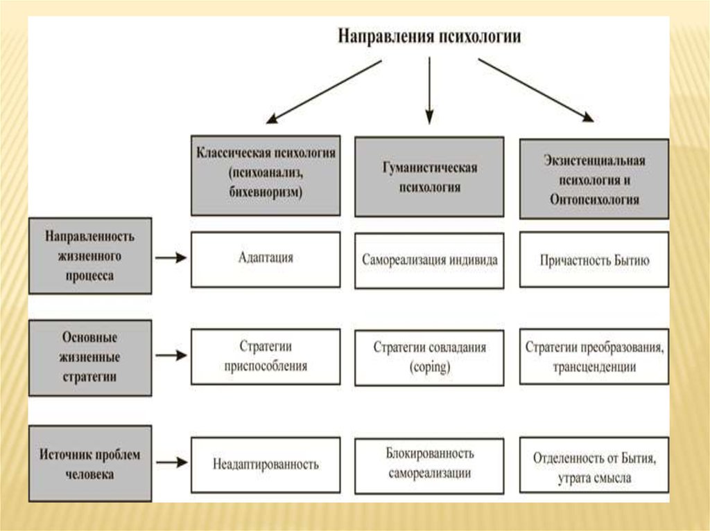 Направления по предметам