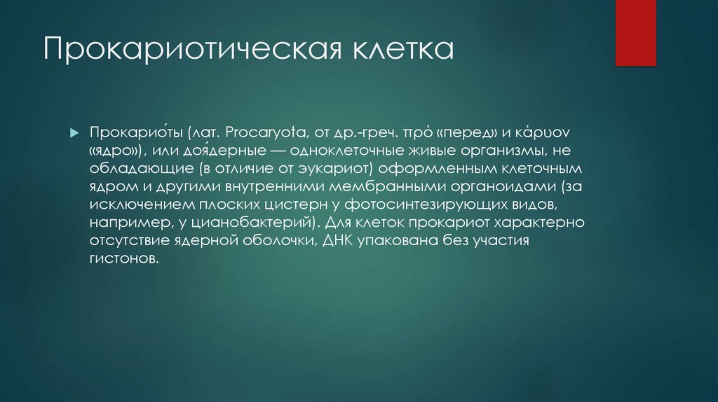 Прокариотическая клетка