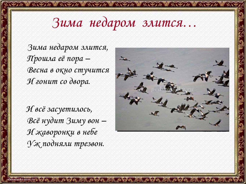 Анализ стихотворения зима недаром злится тютчев 5 класс по плану