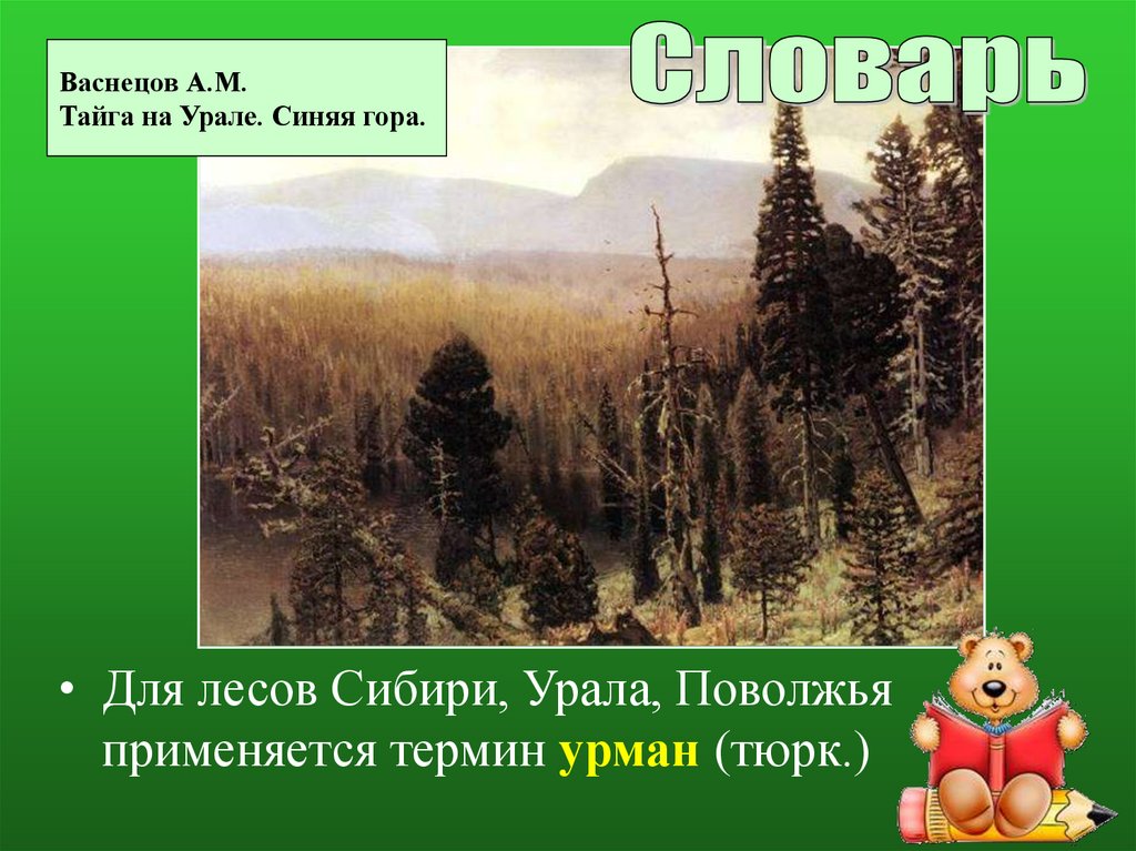 Реферат: Западно-Сибирская тайга