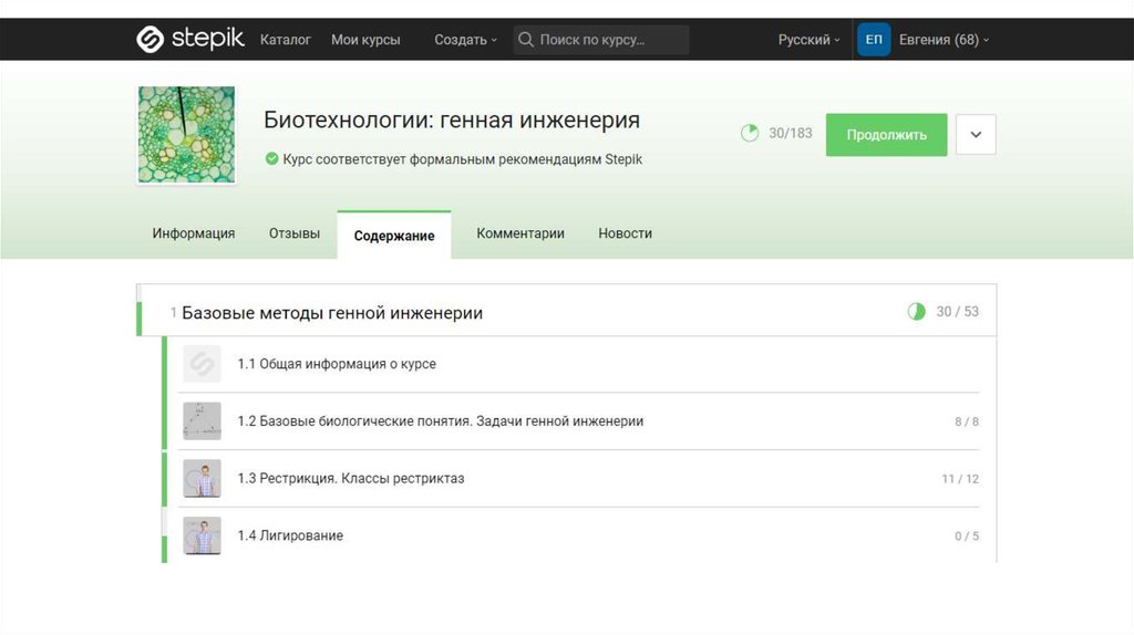 Stepik управление проектами